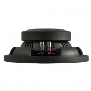 PS10 - DLS subwoofer